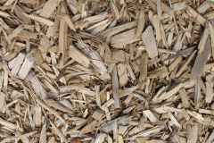 biomass boilers Rowhedge